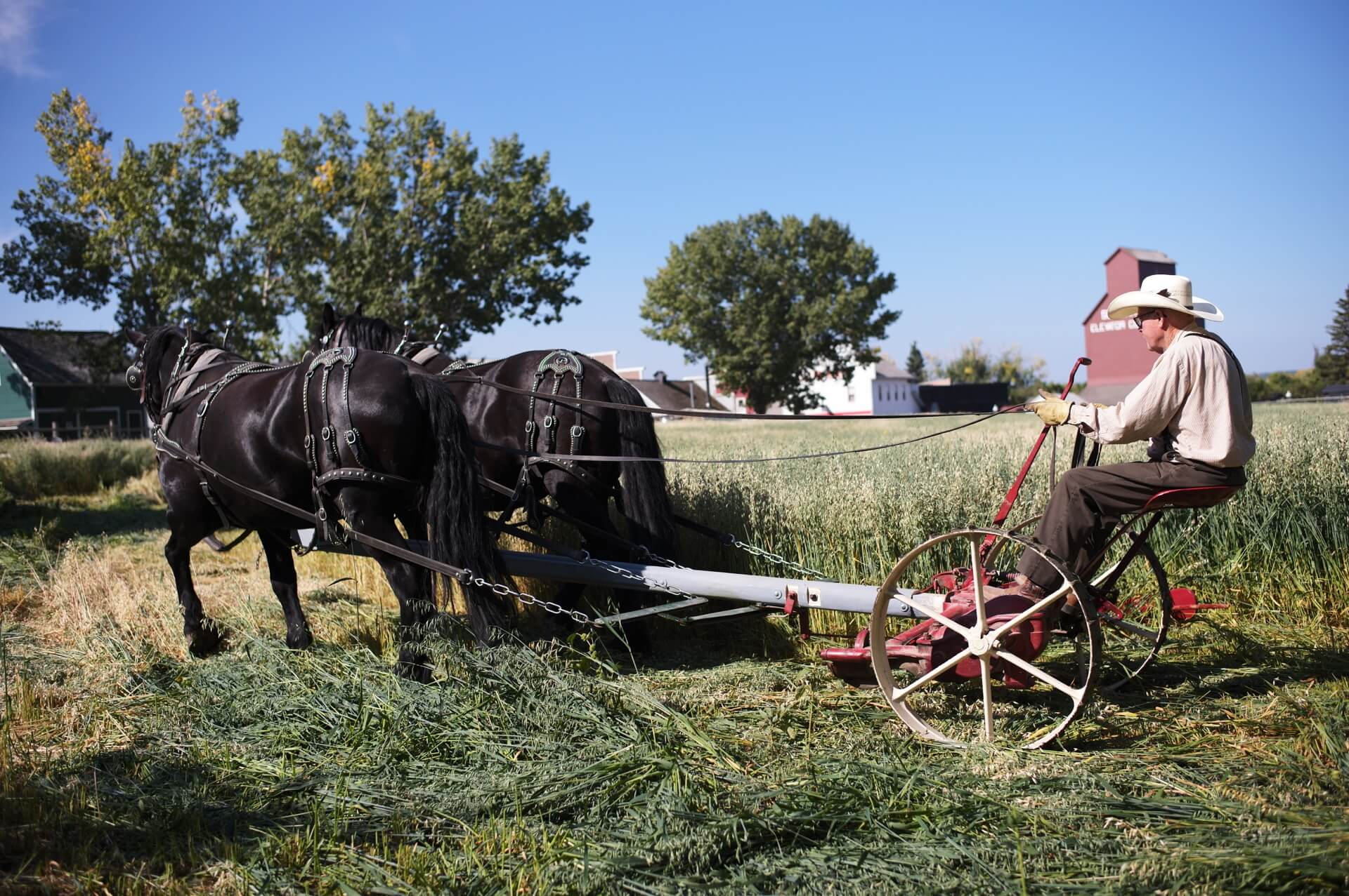 A wonderful performance