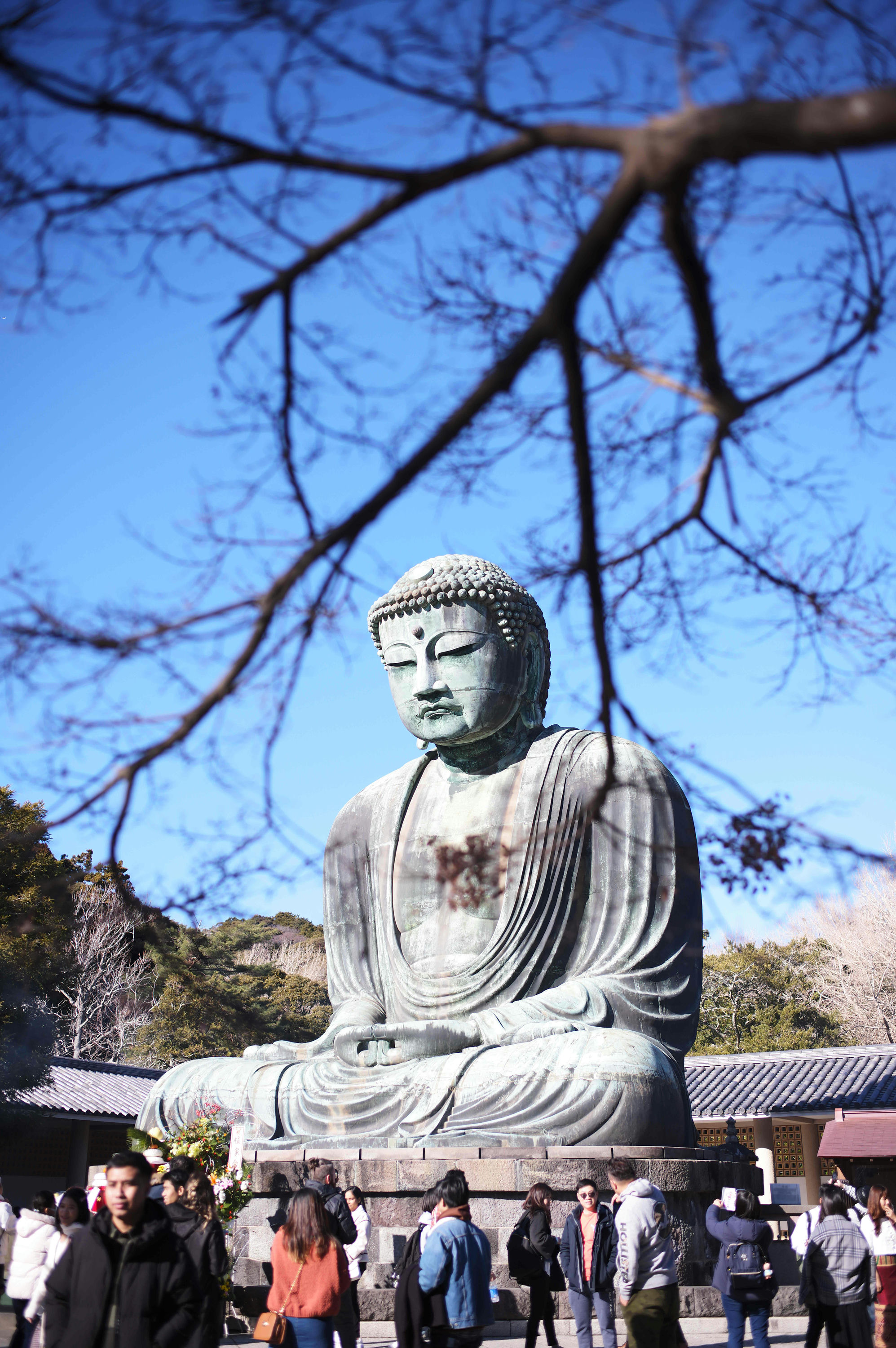 Kamakura Daibutsu