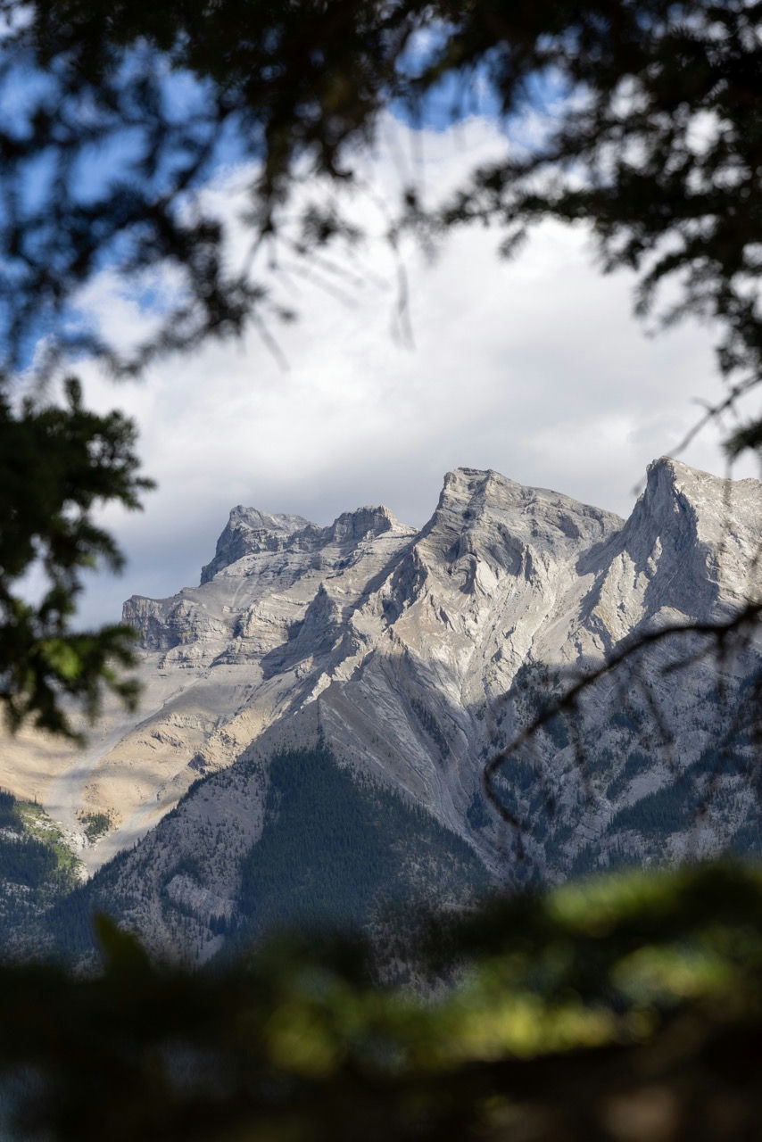 Mountain peaks through the trees