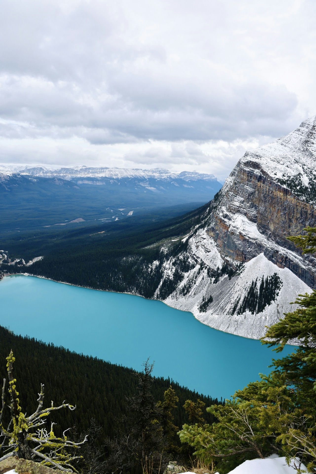 Lake Louise from the top of the mountain